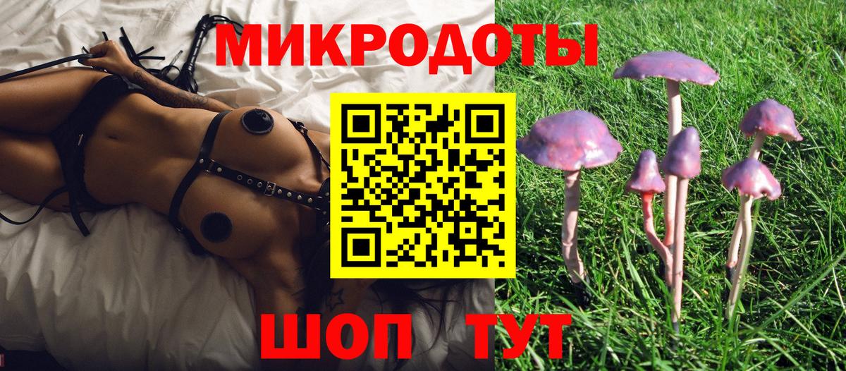Псилоцибиновые грибы MAGIC MUSHROOMS Нижнеудинск