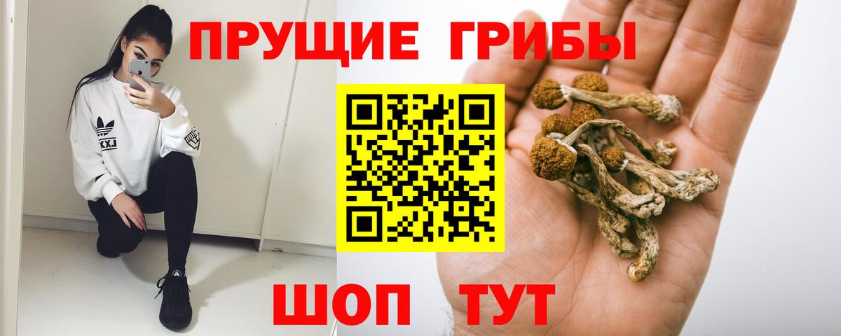 Псилоцибиновые грибы мухоморы  Вход с VPN  купить наркоту  Нижнеудинск 